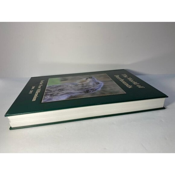 The World of Deerhounds in the New Millennium 2000-2015 Kay Barret RARE HTF BOOK - Picture 3 of 10